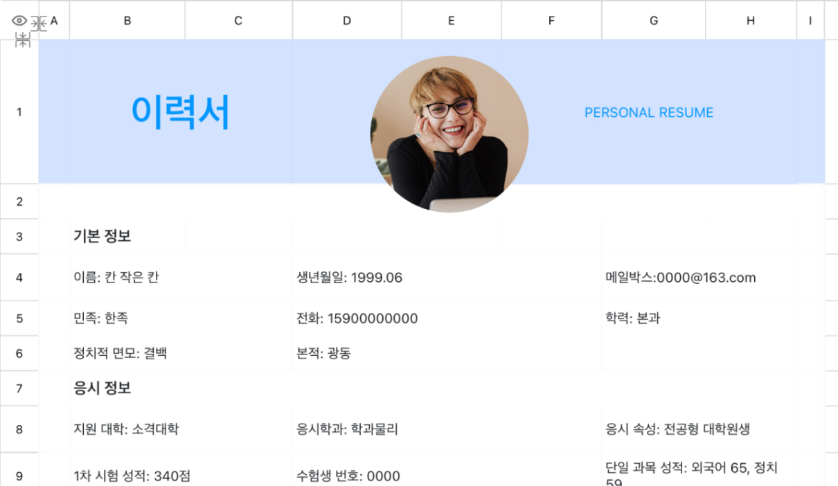 대학원생 재시험 이력서